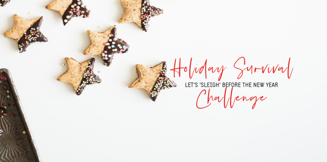 Holiday Survival Kit: Surviving the Holidays for Busy Moms!