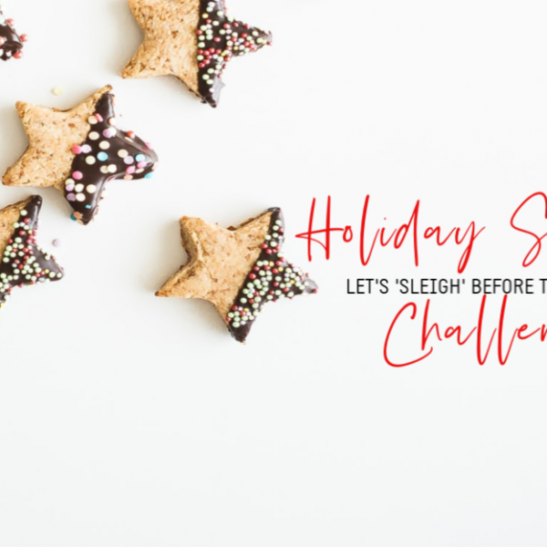 Holiday Survival Kit: Surviving the Holidays for Busy Moms!